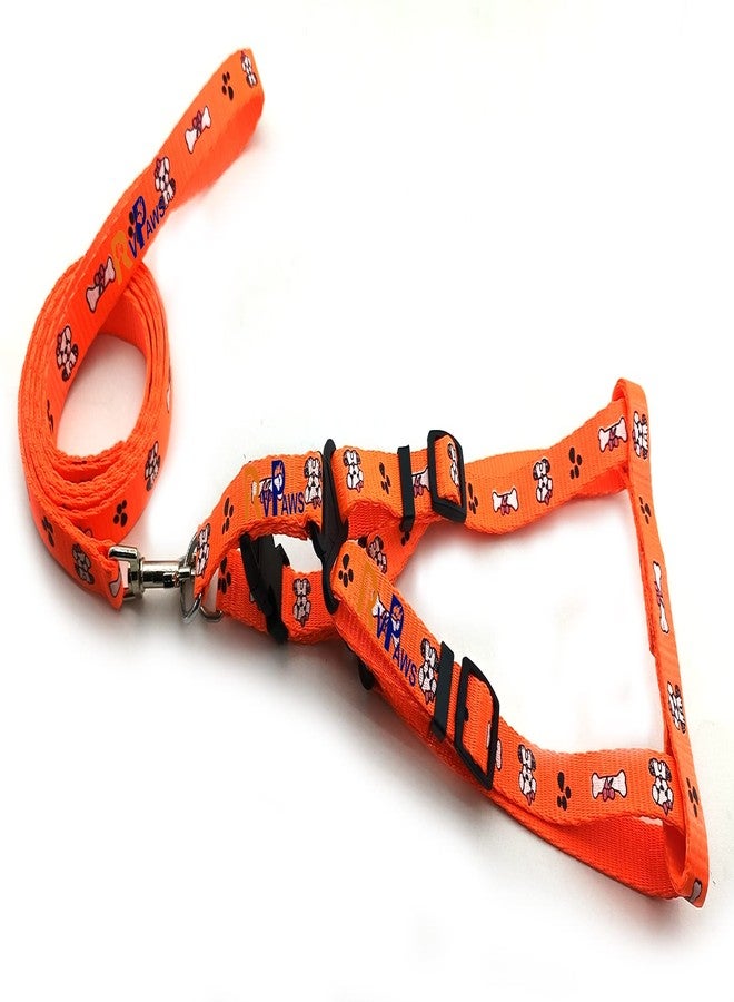 Pups&Pets طقم سرج جرو من النايلون الناعم القابل للتعديل من Pups&Pets، مزين بطبعة عظمة ومخلب ملون، مع مقود بخطاف معدني (برتقالي) - Image 2